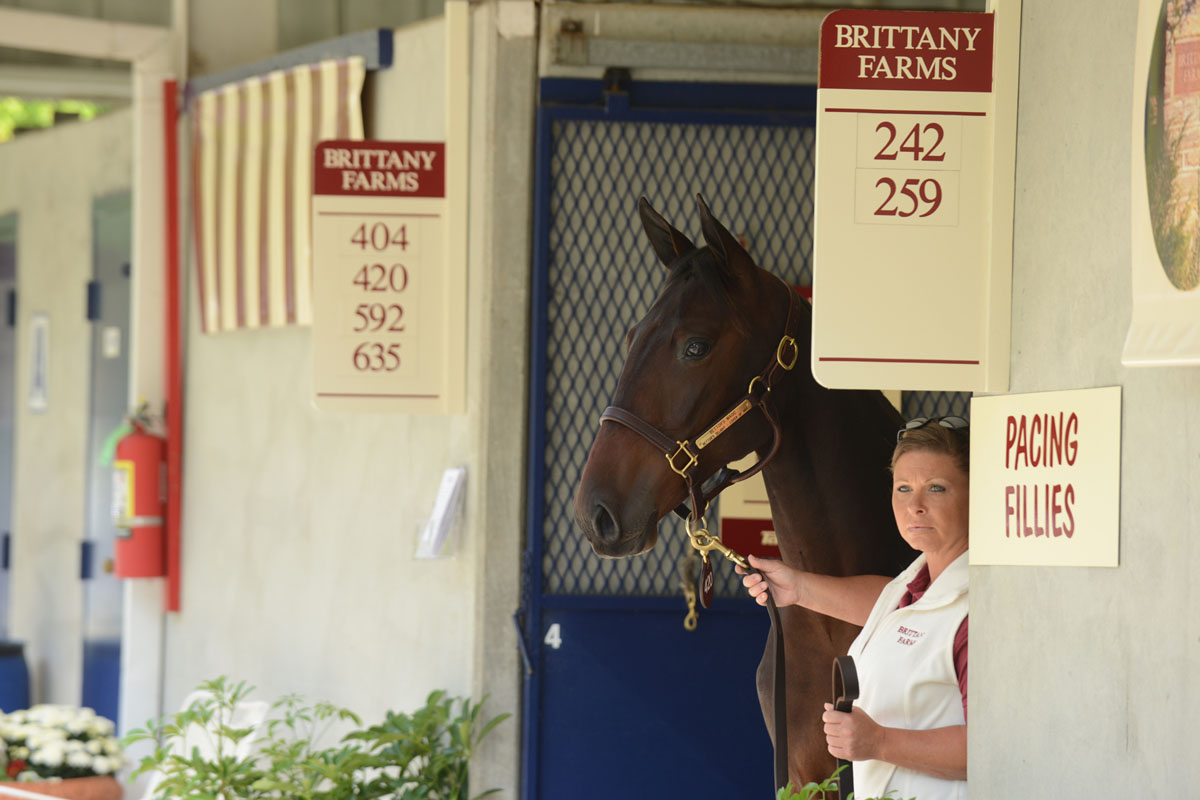 Yearlings